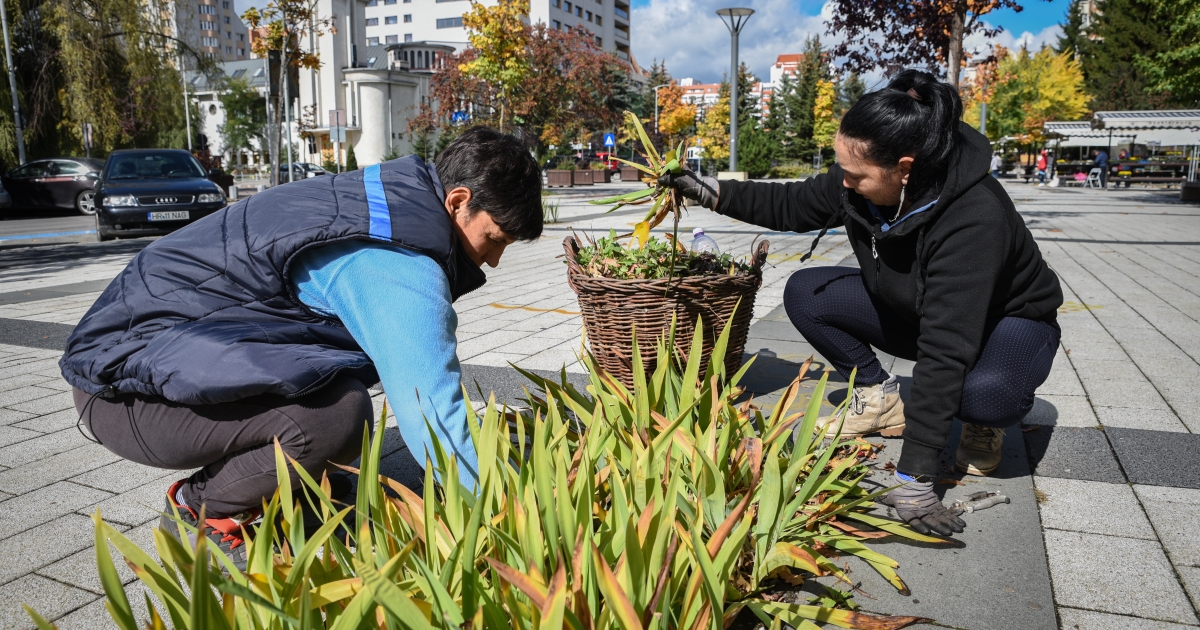 Ismét virágba borul Csíkszereda, ehhez pedig csatlakozhat Ön is